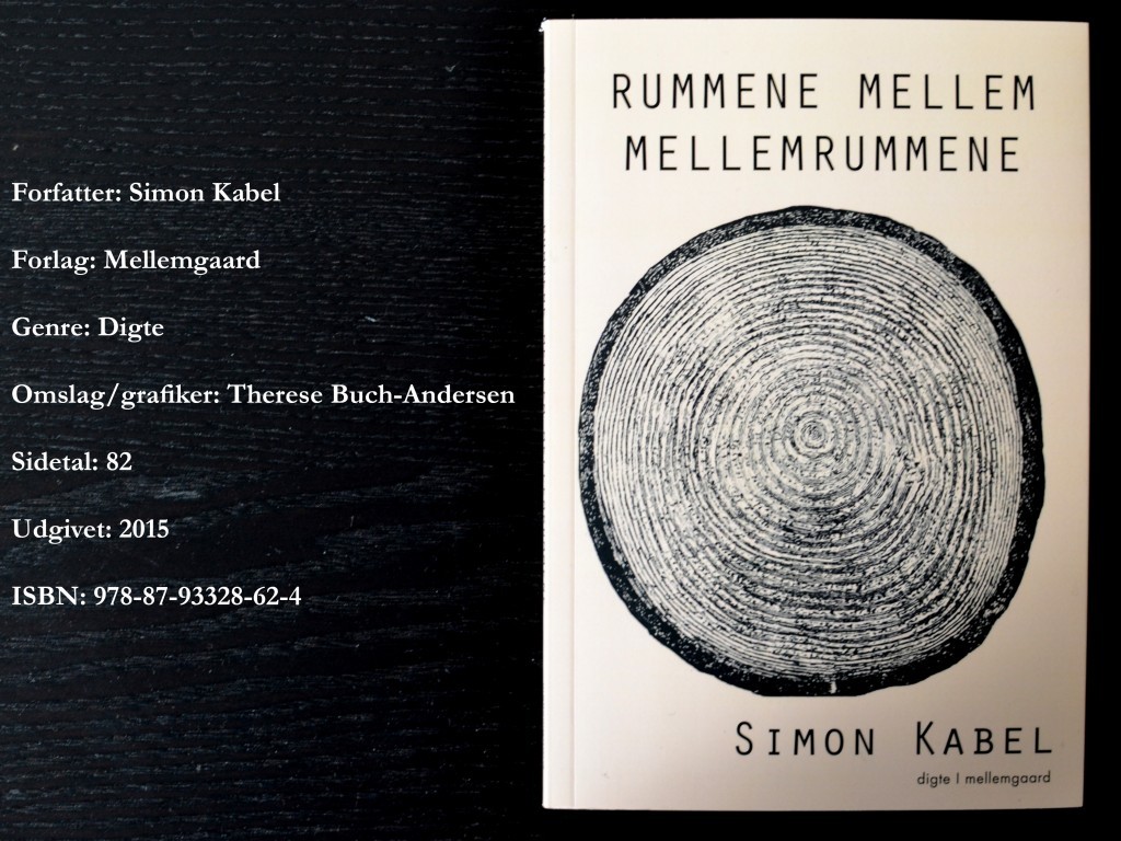 Simon-Kabel-1024x768