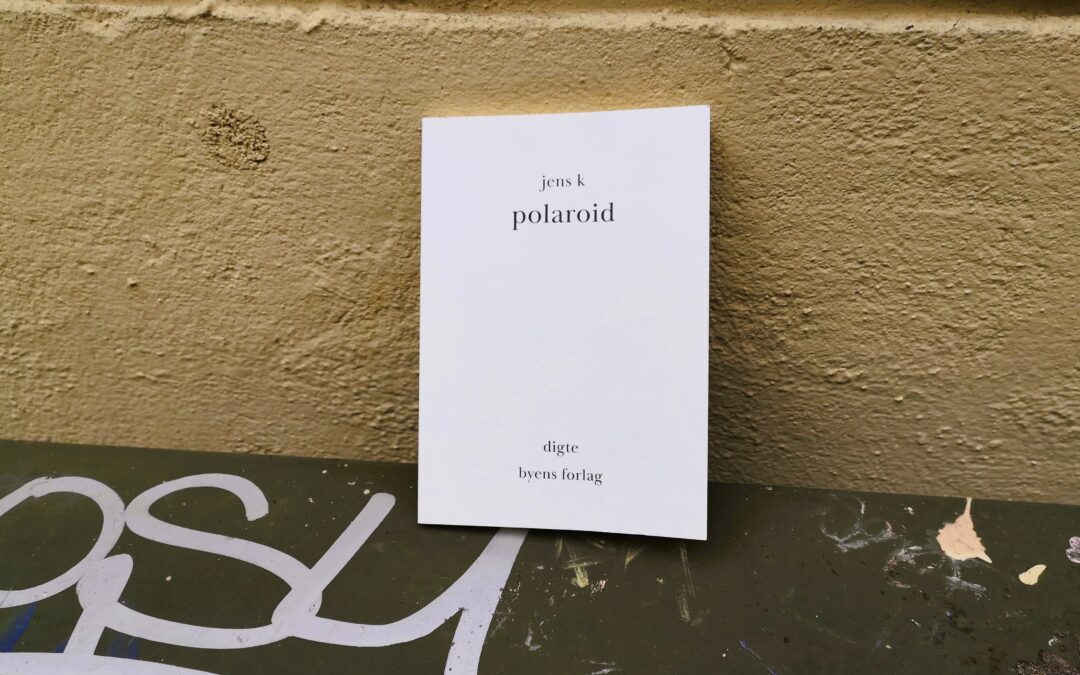 Polaroid  – frosne billeder af København og omegn